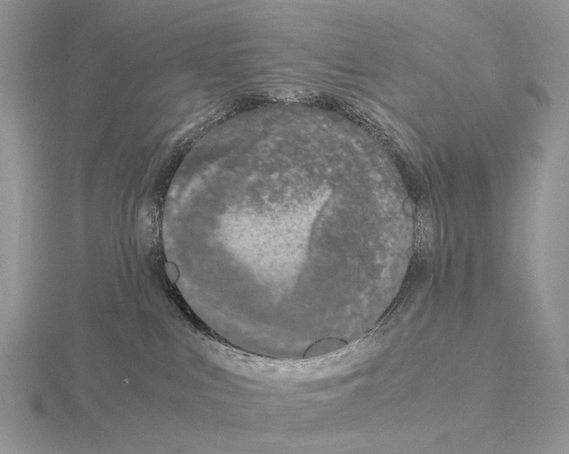 X0000115140043200912081335