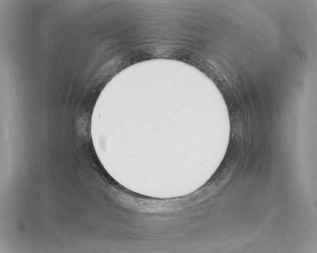 X0000115140044200912081335