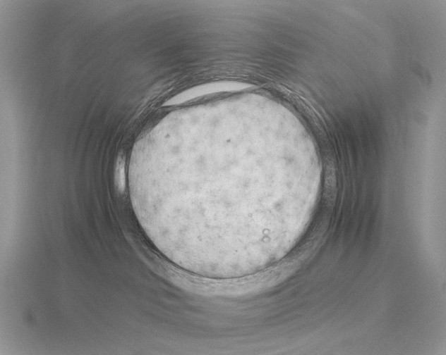 X0000115140046200912081335