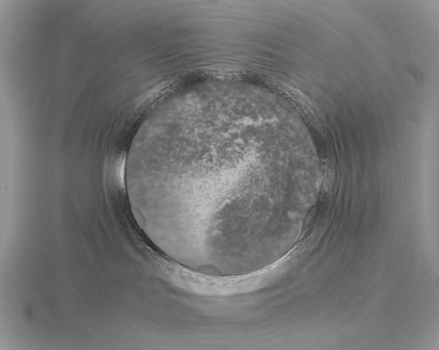 X0000115140047200912081335