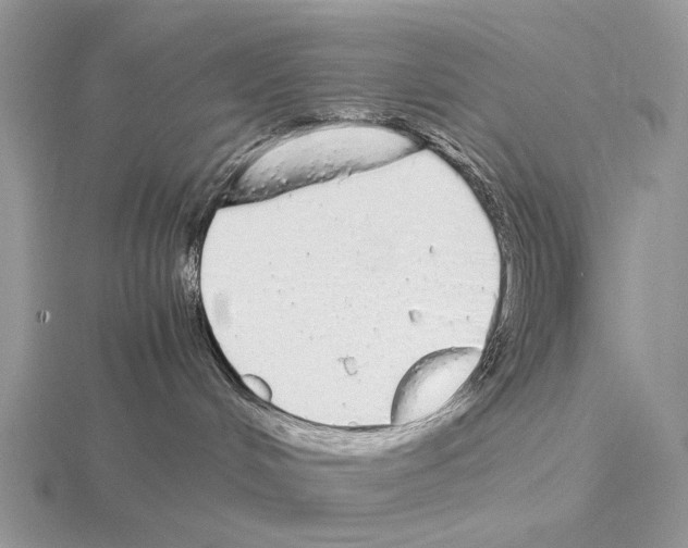 X0000115140048200912081335