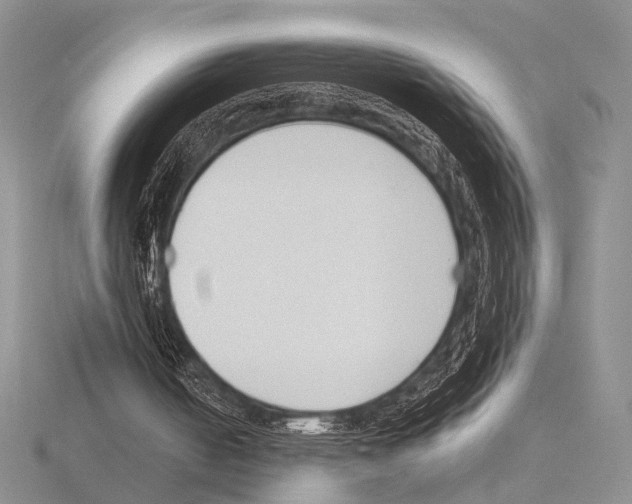 X0000115140050200912081334