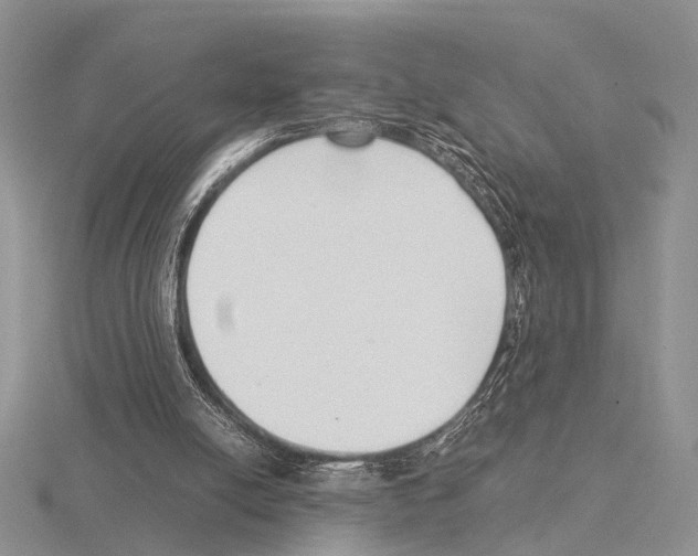 X0000115140054200912081334