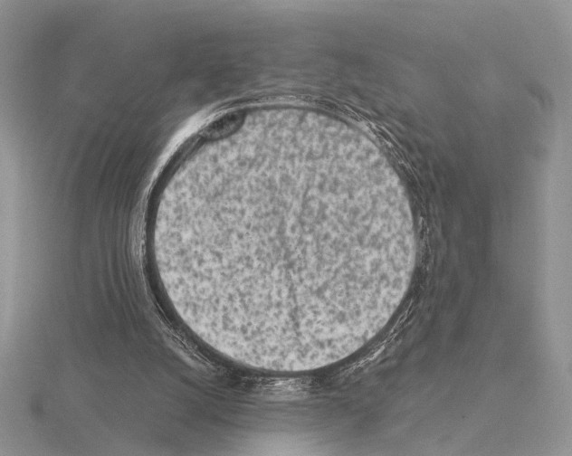 X0000115140056200912081334