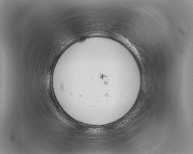 X0000115140057200912081334