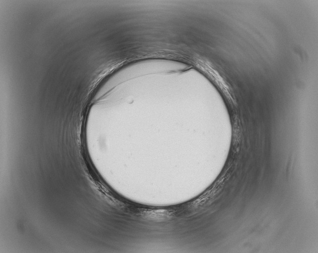 X0000115140058200912081334