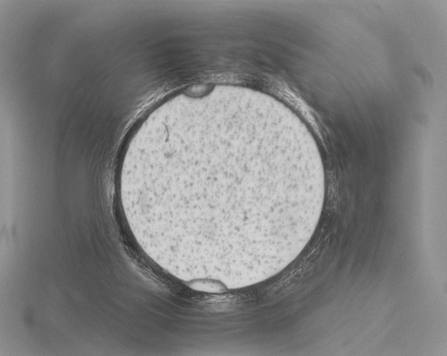 X0000115140059200912081334