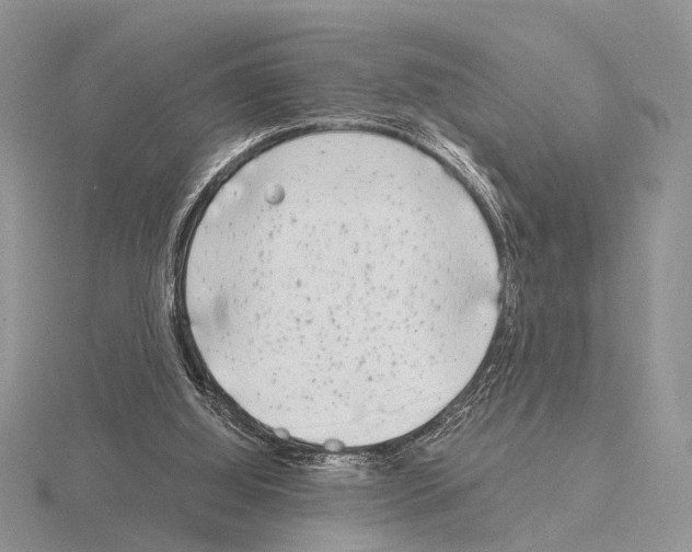 X0000115140060200912081334