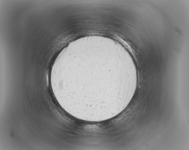 X0000115140061200912081334