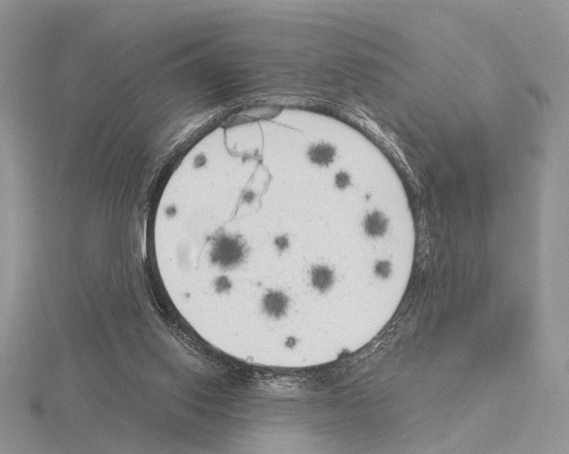 X0000115140062200912081334