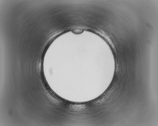 X0000115140063200912081334