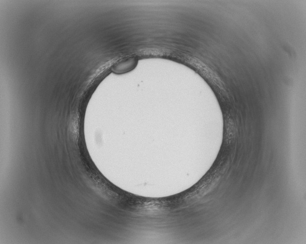 X0000115140064200912081334