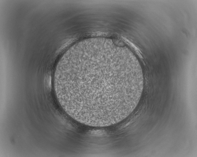 X0000115140067200912081334