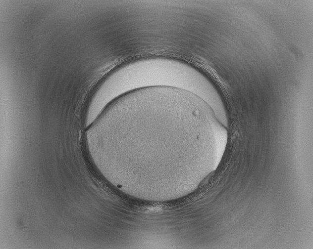 X0000115140068200912081334