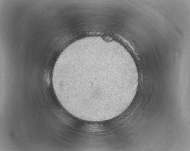 X0000115140069200912081334