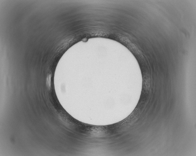 X0000115140070200912081334