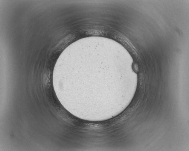 X0000115140073200912081334