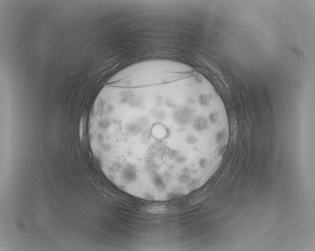 X0000115140075200912081334