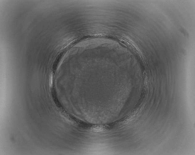 X0000115140076200912081334