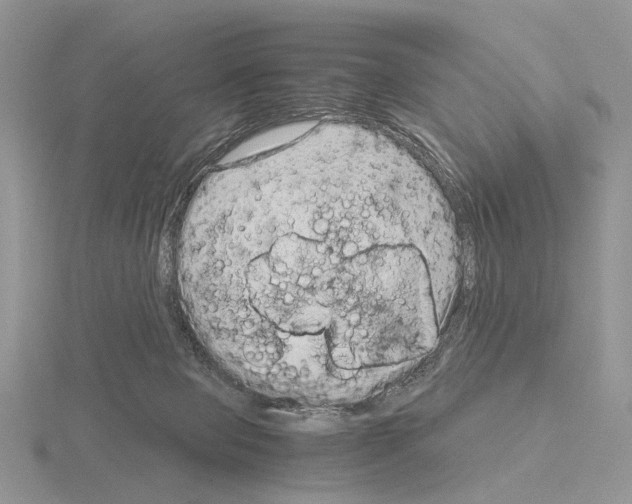 X0000115140077200912081334