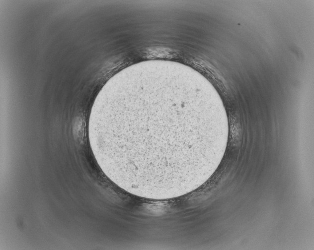 X0000115140079200912081334