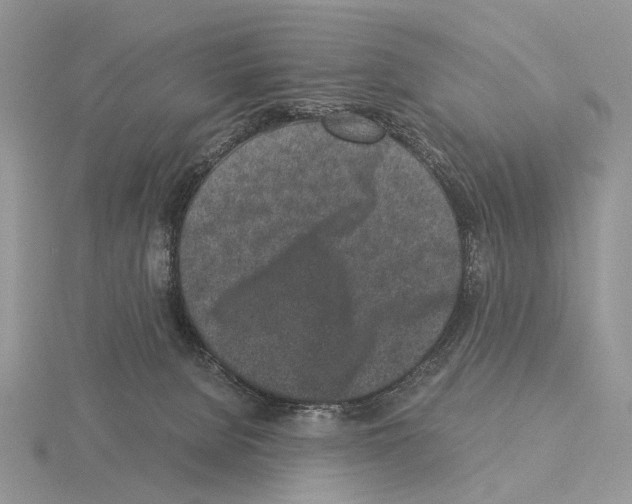 X0000115140080200912081334