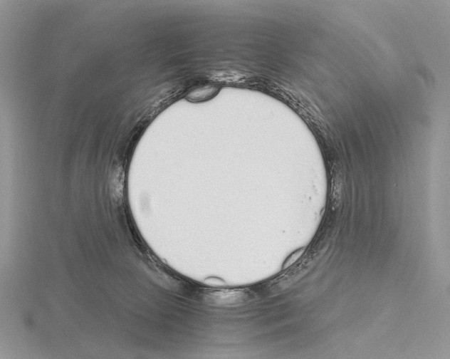 X0000115140081200912081334