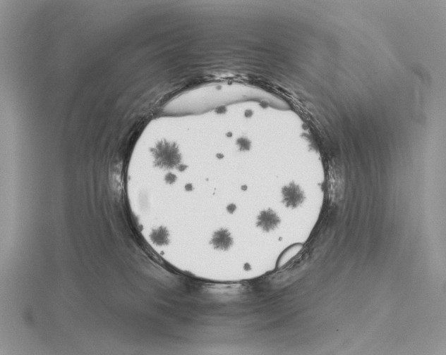 X0000115140085200912081334