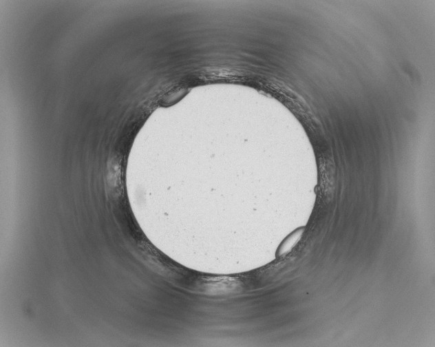 X0000115140087200912081334