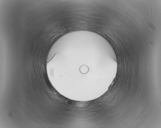 X0000115140088200912081334