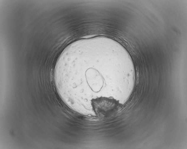 X0000115140093200912081335