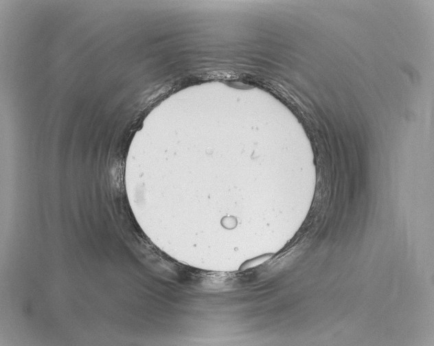 X0000115140096200912081335