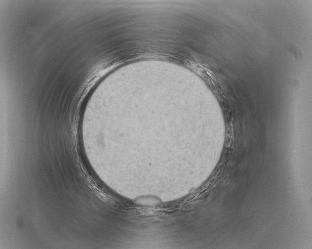 X0000115140098200912081334