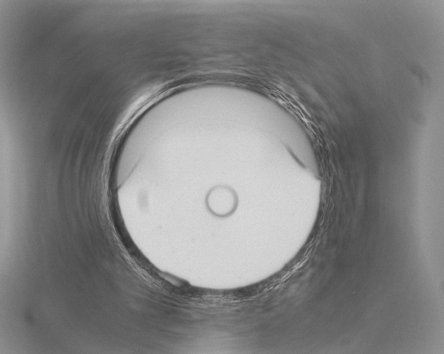 X0000115140101200912081334