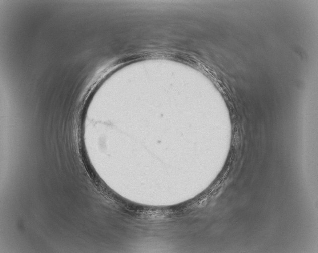 X0000115140103200912081334