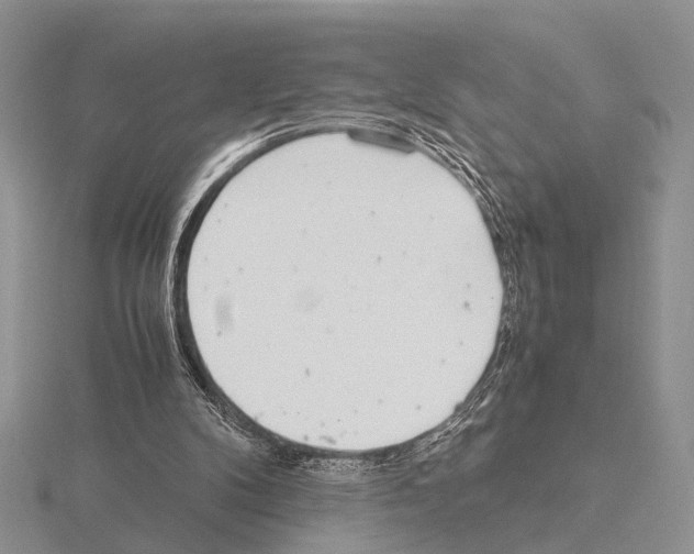 X0000115140104200912081334