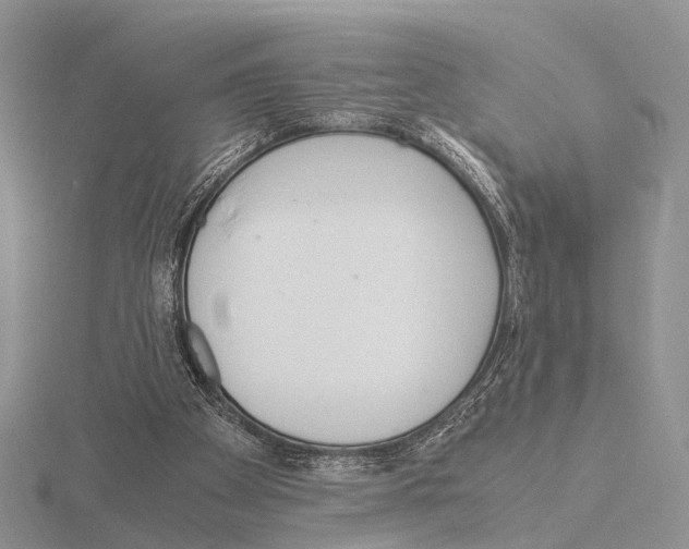 X0000115140105200912081334