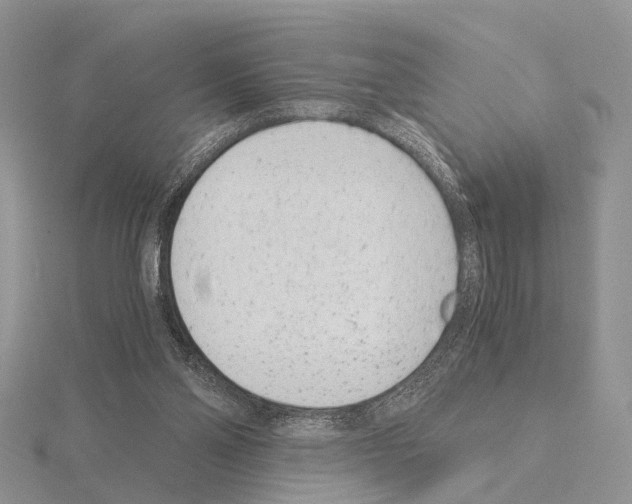 X0000115140110200912081334