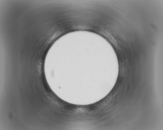 X0000115140111200912081334