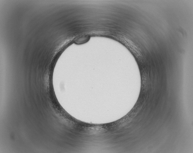 X0000115140112200912081334