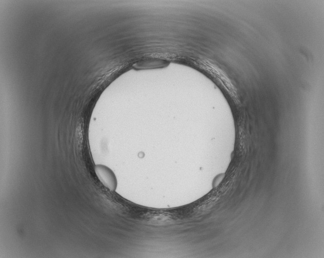 X0000115140113200912081334