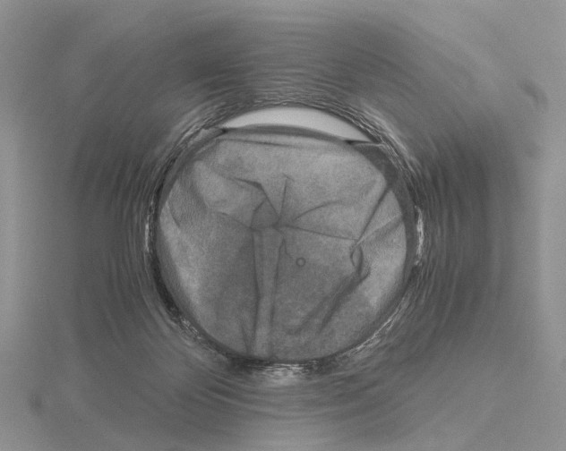 X0000115140124200912081334