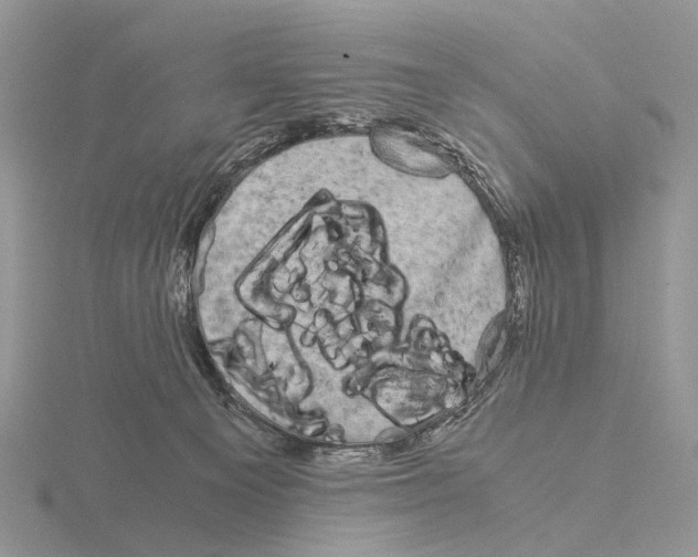 X0000115140129200912081333