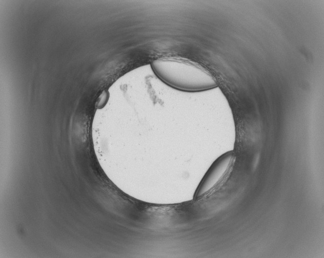 X0000115140133200912081333