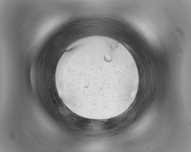 X0000115140140200912081333