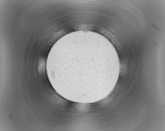 X0000115140142200912081333