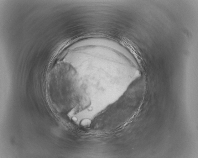 X0000115140145200912081333