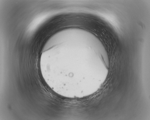 X0000115140146200912081333