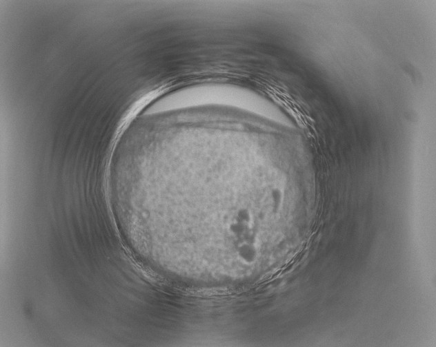 X0000115140147200912081333