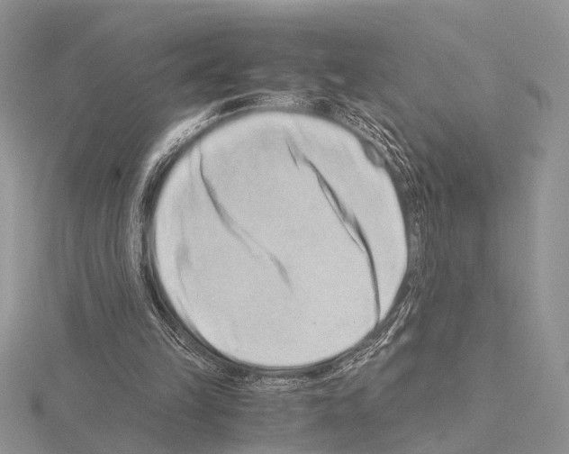 X0000115140149200912081333